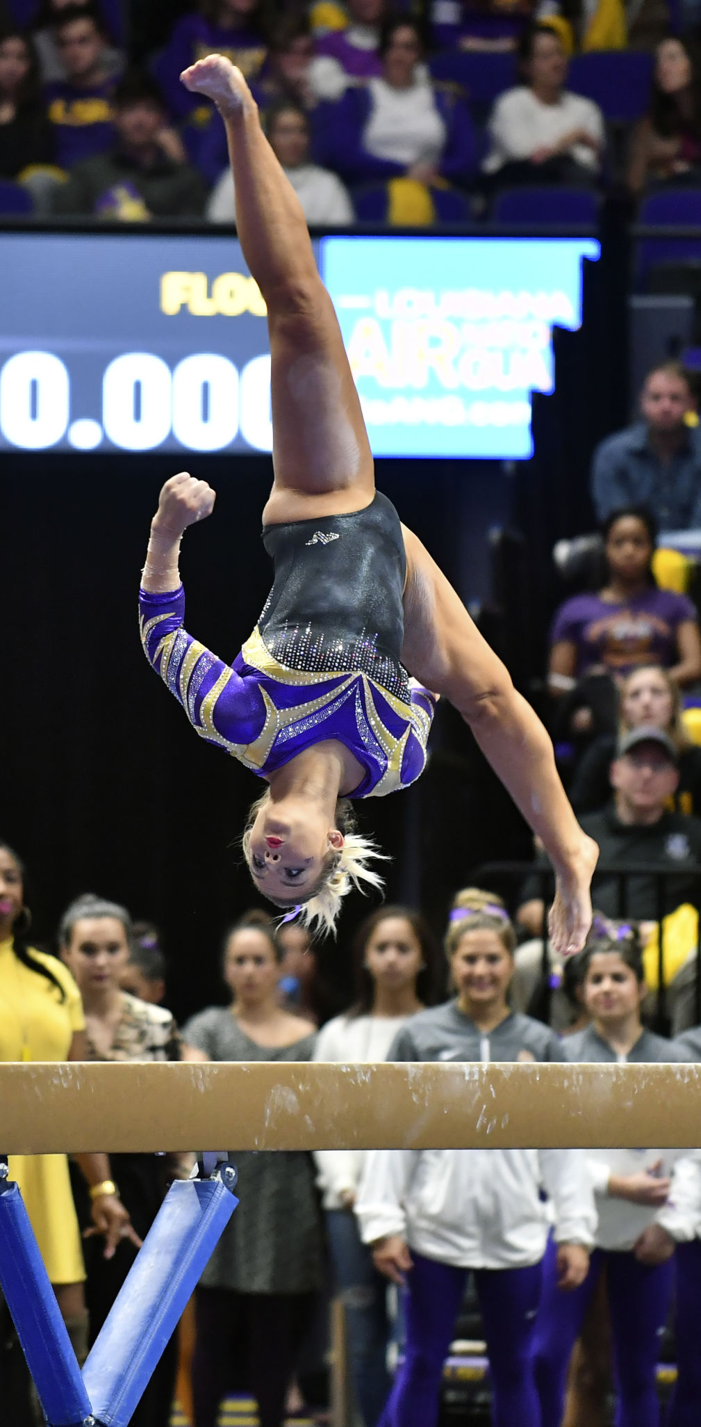 lsucalgymnastics.010519_HS_1430